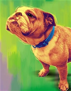 1 Panel Pop Art Portraits from Photos