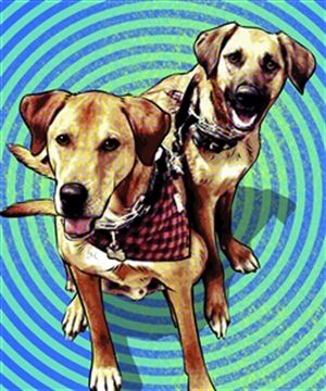Retro Pop Art Portraits from Photos