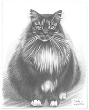 Hand Drawn Pencil Portraits from Photos | Pencil Portrait Drawing | Pencil Sketch Artists