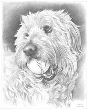Hand Drawn Pencil Portraits from Photos | Pencil Portrait Drawing | Pencil Sketch Artists
