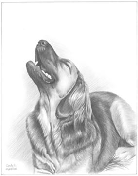 Hand Drawn Pencil Portraits from Photos | Pencil Portrait Drawing | Pencil Sketch Artists