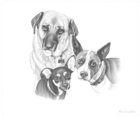 Hand Drawn Pencil Portraits from Photos | Pencil Portrait Drawing | Pencil Sketch Artists