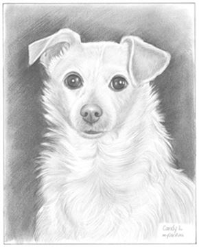 Hand Drawn Pencil Portraits from Photos | Pencil Portrait Drawing | Pencil Sketch Artists