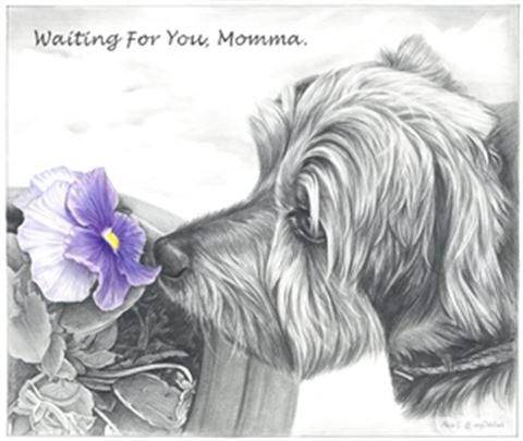 Hand Drawn Pencil Portraits from Photos | Pencil Portrait Drawing | Pencil Sketch Artists