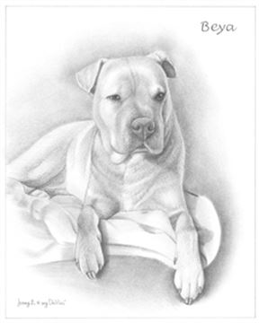 Hand Drawn Pencil Portraits from Photos | Pencil Portrait Drawing | Pencil Sketch Artists