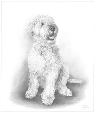 Hand Drawn Pencil Portraits from Photos | Pencil Portrait Drawing | Pencil Sketch Artists
