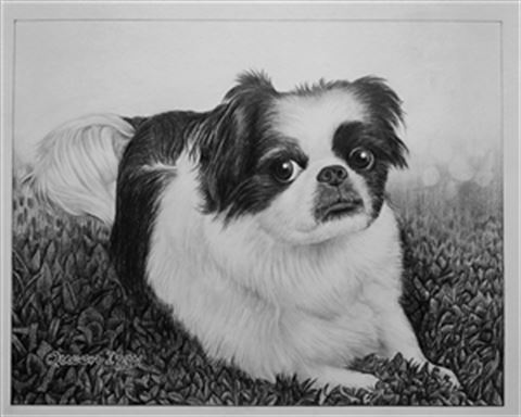 Hand Drawn Pencil Portraits from Photos | Pencil Portrait Drawing | Pencil Sketch Artists