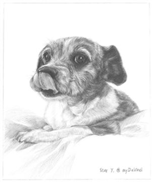 Hand Drawn Pencil Portraits from Photos | Pencil Portrait Drawing | Pencil Sketch Artists