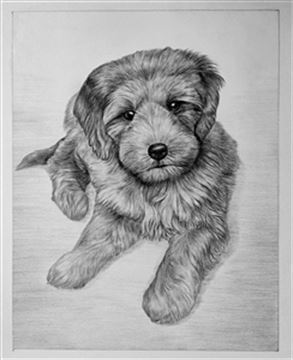 Hand Drawn Pencil Portraits from Photos | Pencil Portrait Drawing | Pencil Sketch Artists