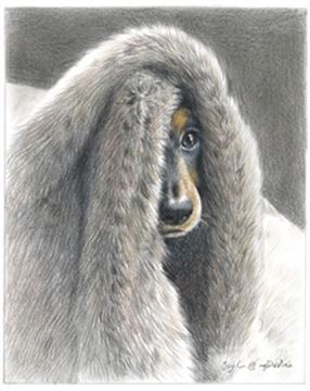Hand Drawn Colored Pencil Portraits from Photos | Colored Pencil Drawings from Photos