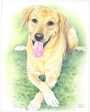 Hand Drawn Colored Pencil Portraits from Photos | Colored Pencil Drawings from Photos