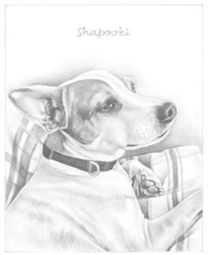 Hand Drawn Pencil Portraits from Photos | Pencil Portrait Drawing | Pencil Sketch Artists