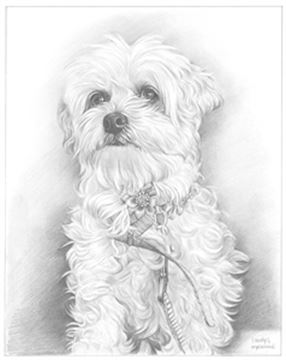 Hand Drawn Pencil Portraits from Photos | Pencil Portrait Drawing | Pencil Sketch Artists