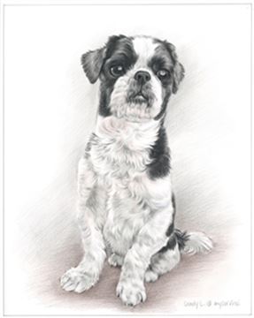 Hand Drawn Colored Pencil Portraits from Photos | Colored Pencil Drawings from Photos