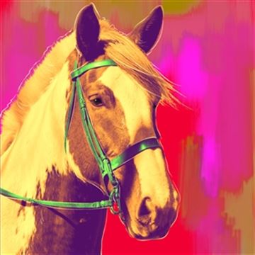 1 Panel Pop Art Portraits from Photos