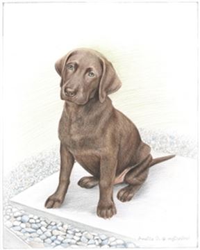 Hand Drawn Colored Pencil Portraits from Photos | Colored Pencil Drawings from Photos