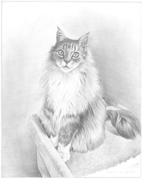 Hand Drawn Pencil Portraits from Photos | Pencil Portrait Drawing | Pencil Sketch Artists