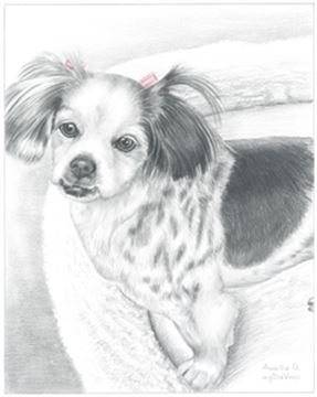 Hand Drawn Pencil Portraits from Photos | Pencil Portrait Drawing | Pencil Sketch Artists