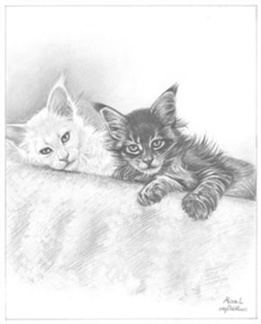 Hand Drawn Pencil Portraits from Photos | Pencil Portrait Drawing | Pencil Sketch Artists