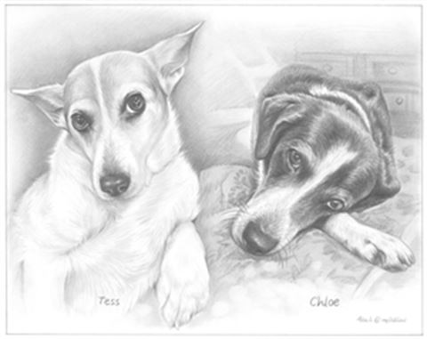 Hand Drawn Pencil Portraits from Photos | Pencil Portrait Drawing | Pencil Sketch Artists