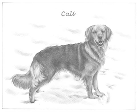 Hand Drawn Pencil Portraits from Photos | Pencil Portrait Drawing | Pencil Sketch Artists