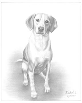 Hand Drawn Pencil Portraits from Photos | Pencil Portrait Drawing | Pencil Sketch Artists