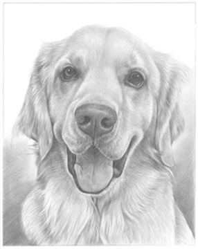 Hand Drawn Pencil Portraits from Photos | Pencil Portrait Drawing | Pencil Sketch Artists