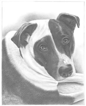 Hand Drawn Pencil Portraits from Photos | Pencil Portrait Drawing | Pencil Sketch Artists