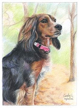 Hand Drawn Colored Pencil Portraits from Photos | Colored Pencil Drawings from Photos