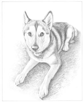 Hand Drawn Pencil Portraits from Photos | Pencil Portrait Drawing | Pencil Sketch Artists
