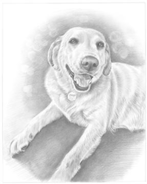 Hand Drawn Pencil Portraits from Photos | Pencil Portrait Drawing | Pencil Sketch Artists