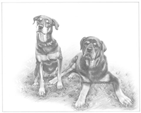 Hand Drawn Pencil Portraits from Photos | Pencil Portrait Drawing | Pencil Sketch Artists
