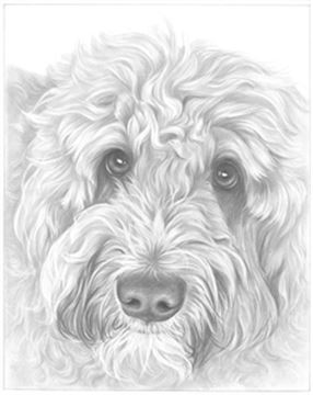 Hand Drawn Pencil Portraits from Photos | Pencil Portrait Drawing | Pencil Sketch Artists