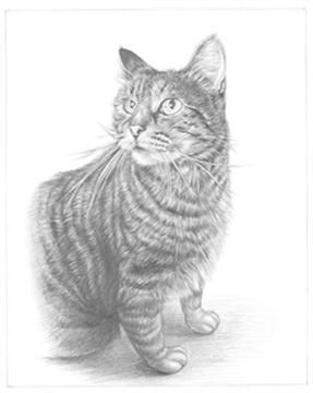 Hand Drawn Pencil Portraits from Photos | Pencil Portrait Drawing | Pencil Sketch Artists