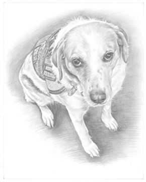 Hand Drawn Pencil Portraits from Photos | Pencil Portrait Drawing | Pencil Sketch Artists