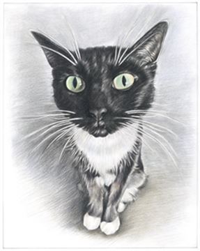 Hand Drawn Colored Pencil Portraits from Photos | Colored Pencil Drawings from Photos