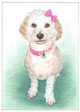 Hand Drawn Colored Pencil Portraits from Photos | Colored Pencil Drawings from Photos