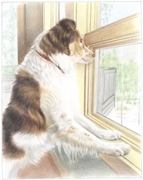Hand Drawn Colored Pencil Portraits from Photos | Colored Pencil Drawings from Photos