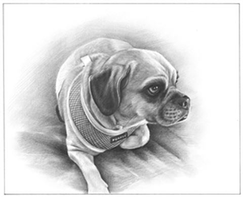 Hand Drawn Pencil Portraits from Photos | Pencil Portrait Drawing | Pencil Sketch Artists