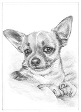 Hand Drawn Pencil Portraits from Photos | Pencil Portrait Drawing | Pencil Sketch Artists