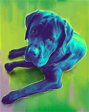 1 Panel Pop Art Portraits from Photos