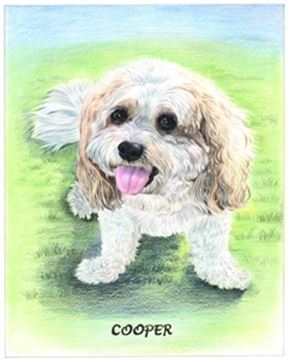 Hand Drawn Colored Pencil Portraits from Photos | Colored Pencil Drawings from Photos