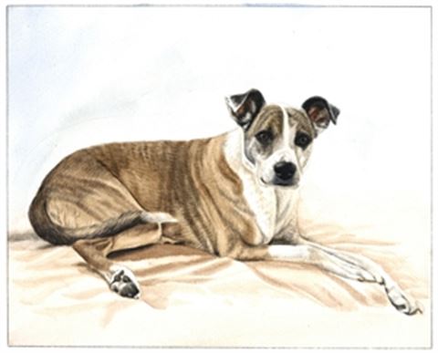 Hand-Painted Watercolor Portraits from Photos | Custom Watercolor Painting from Photo