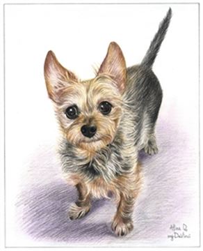 Hand Drawn Colored Pencil Portraits from Photos | Colored Pencil Drawings from Photos