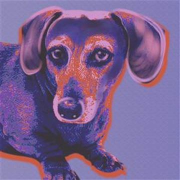 1 Panel Pop Art Portraits from Photos