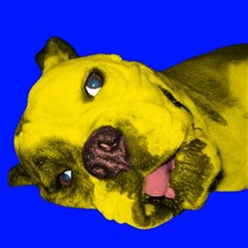 1 Panel Pop Art Portraits from Photos