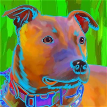1 Panel Pop Art Portraits from Photos