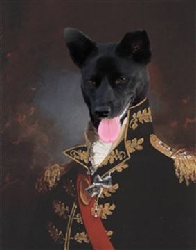 Personalized Masterpiece Major General from Photo