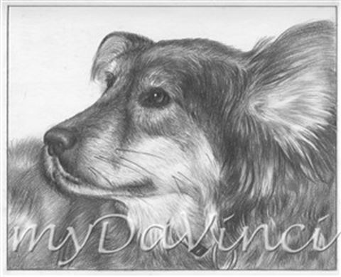 Hand Drawn Pencil Portraits from Photos | Pencil Portrait Drawing | Pencil Sketch Artists