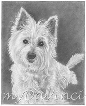 Hand Drawn Pencil Portraits from Photos | Pencil Portrait Drawing | Pencil Sketch Artists